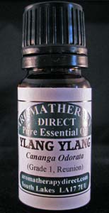 Ylang Ylang (Cananga Odorata) Reunion Isles. - Click Image to Close